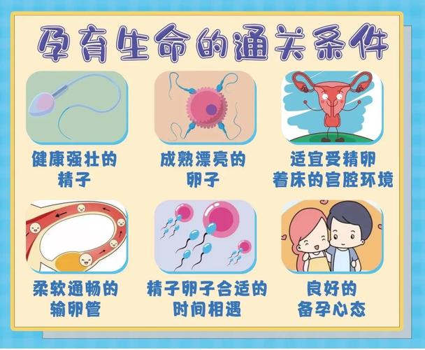 正规同性做试管婴儿机构【正规同性试管婴儿机构：新生命的温暖家园】