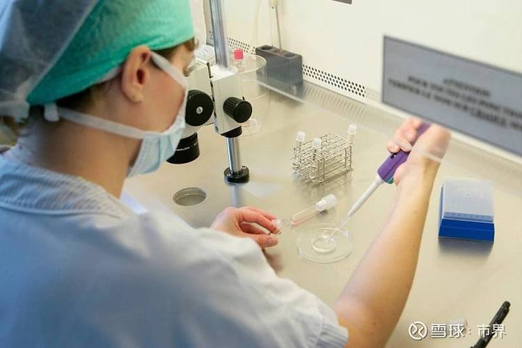 北京正规试管供卵_北京正规试管供卵中心，助您实现生育梦想