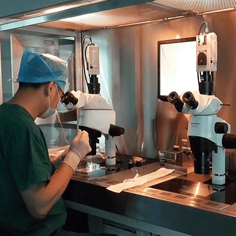 正规试管代怀中心【正规试管代怀中心：专业辅助生殖服务】