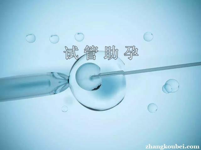 国内借卵试管-国内借卵试管：生育新选择