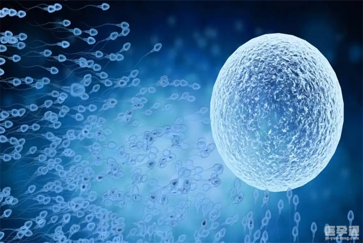 国内供卵试管代怀正规机构-国内正规供卵试管代怀机构大揭秘