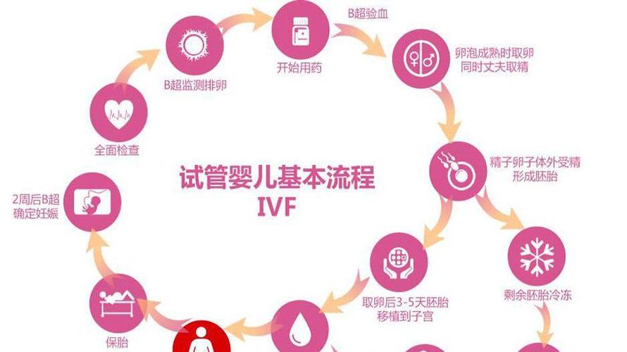 国内供卵试管代怀流程-国内供卵试管代怀流程解析