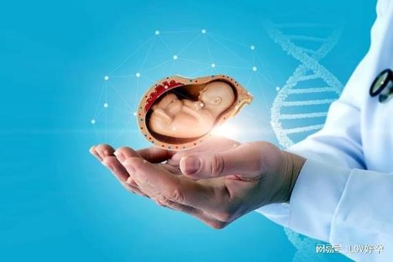 国内试管代怀靠谱吗_国内试管代怀孕可靠吗？