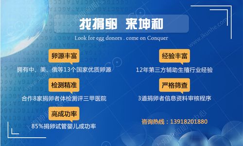 国内正规供卵机构-国内正规供卵机构：专业服务，安全可靠