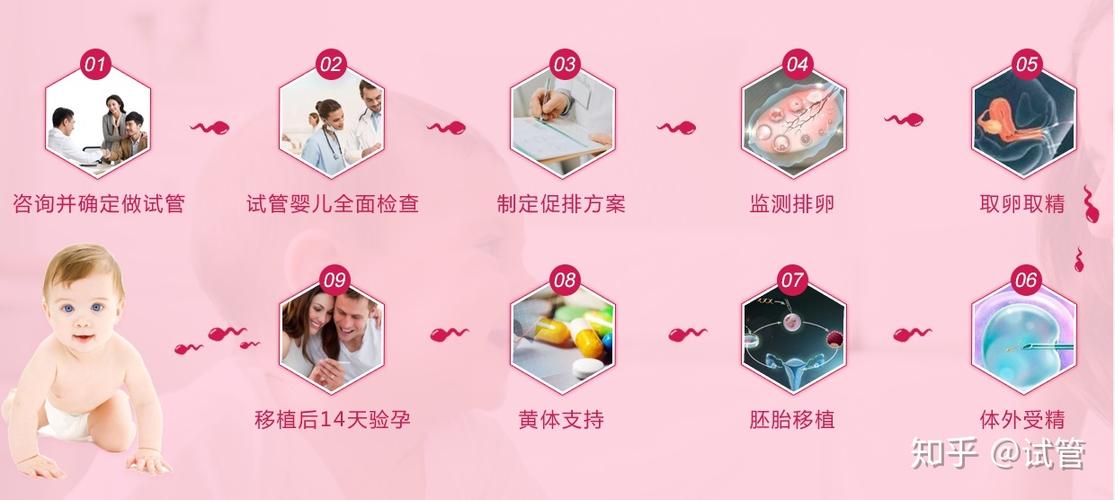 试管代怀网站哪家正规【正规试管代怀网站排名大揭秘】