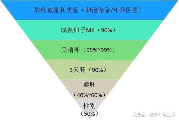 国内试管代怀怎么样【国内试管代怀怎么样?详细解读试管代怀孕流程及注意事项】