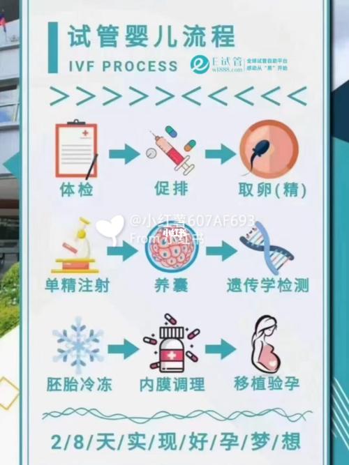 个人找正规试管代怀妈妈【寻找正规试管代怀妈妈的个人需求】