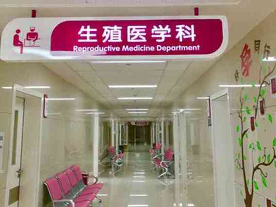 广州正规试管供卵_广州正规试管供卵中心,助您圆梦生育