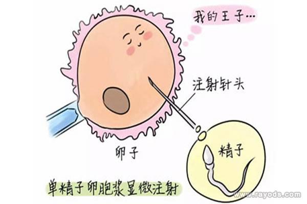 国内试管代怀哪家最好【国内试管代怀哪家最好？一探最佳选择】