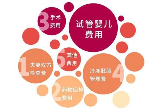 有在国内试管代怀(国内试管代怀:新生命的希望)