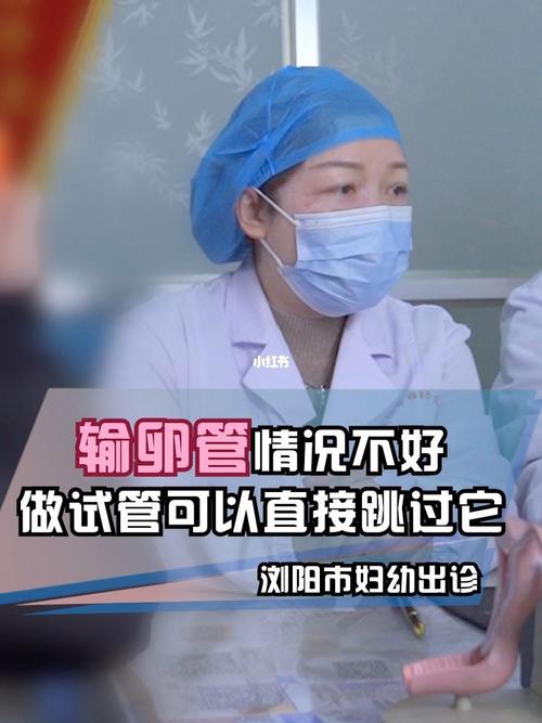 最正规试管代怀公司-最专业的试管代怀公司服务