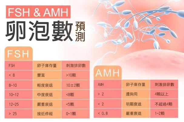 国内最好供卵机构_国内最好供卵机构盘点