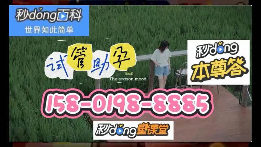 网上的试管代怀靠谱吗【网上的试管代怀靠谱吗?实地调研告诉你答案】